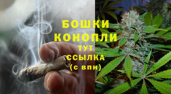 каннабис Аркадак