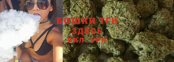 стафф Арсеньев