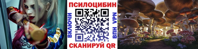 Купить  Белоусово  Галлюциногенные грибы Magic Shrooms 